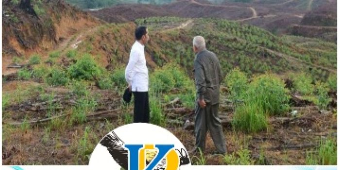 Desain Ibu Kota Baru Pilihan Jokowi