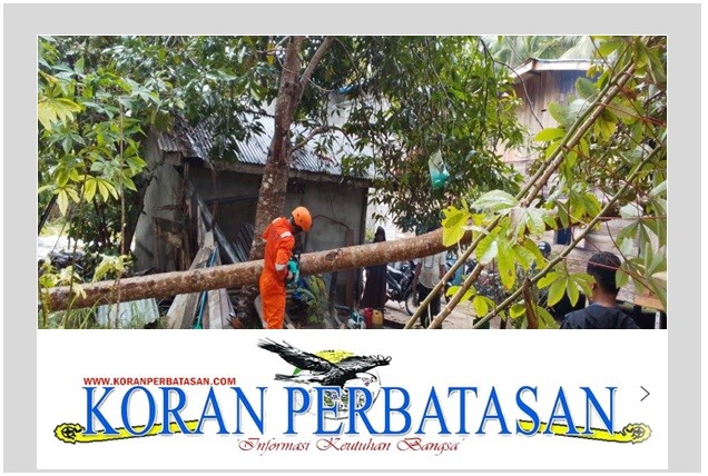 Personel Bhabinkamtibmas, BPBD, dan warga bergotong royong memindahkan batang pohon kelapa yang tumbang dan menimpa atap rumah seorang warga di Desa Tanjung, Natuna.