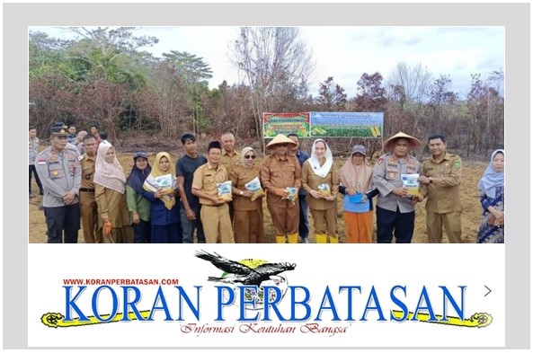 Bupati Natuna, Cen Sui Lan, melakukan penanaman perdana bibit jagung pipil di lahan BUMDes Desa Gunung Putri, didampingi Kapolres Natuna dan perangkat daerah.